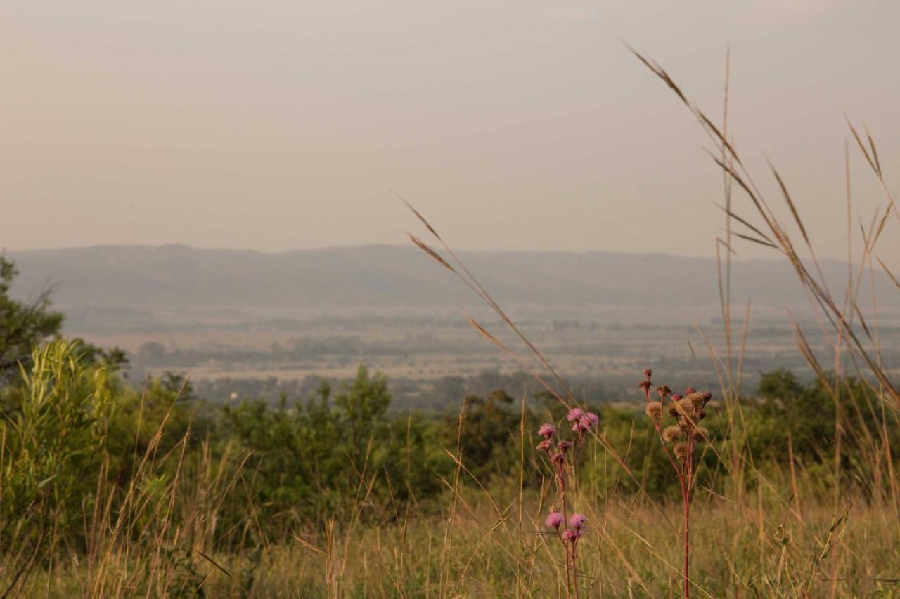 Remhoogte Mountain Lodge Jacksonstuin Εξωτερικό φωτογραφία